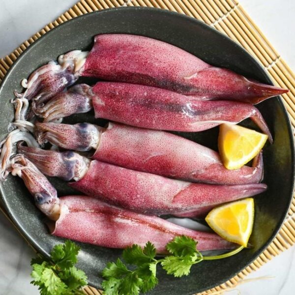 Mực Các Loại